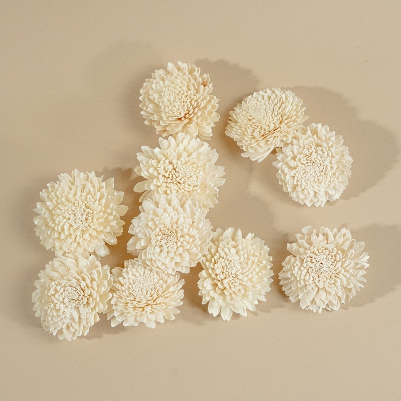 3 Wild Zinnia (10 pack)-RAW & CUSTOM