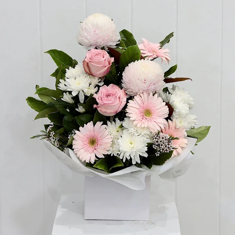 Bliss Pink-Bliss Pink Box