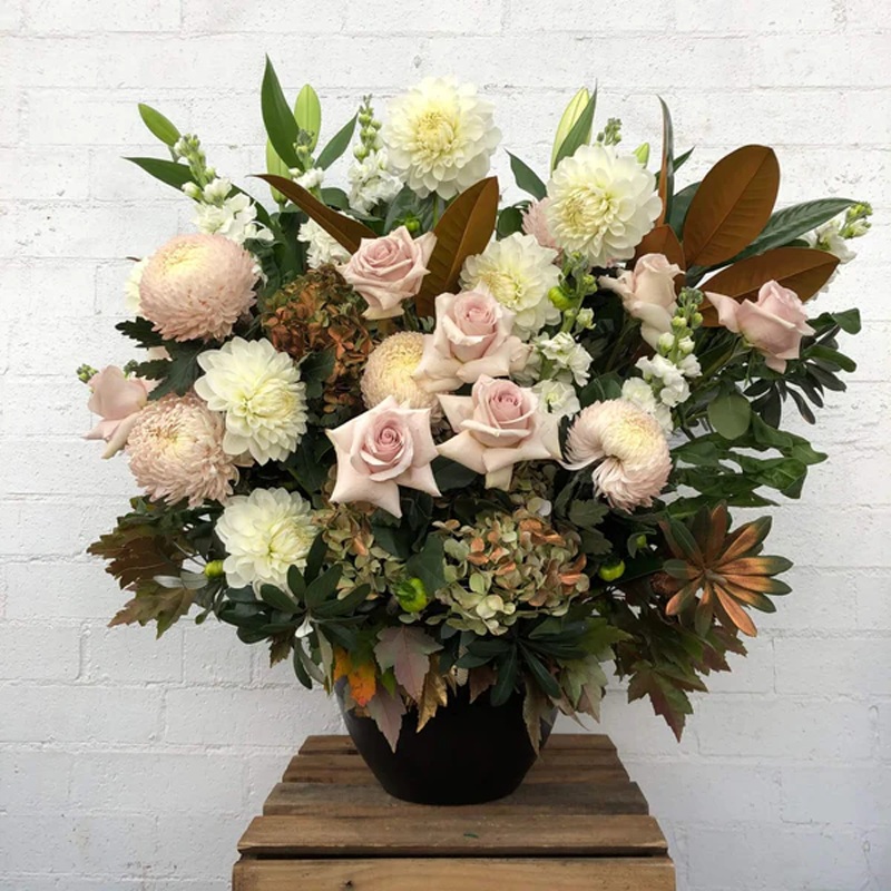 Inspiration-Inspiration