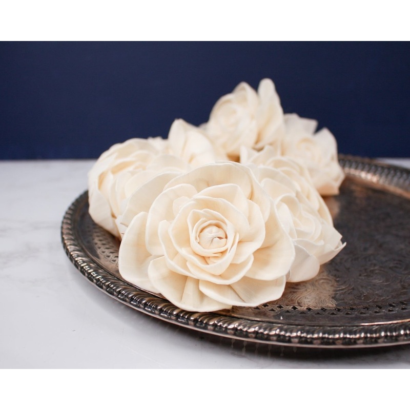 3 Dear Holly (10 pack)-RAW & CUSTOM