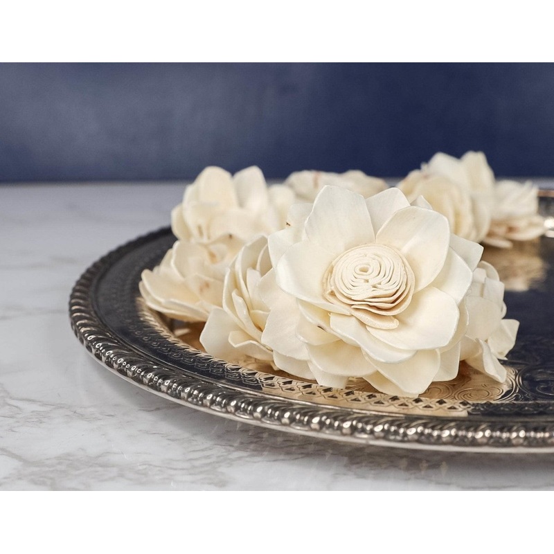 3 Lotus (10 pack)-RAW & CUSTOM