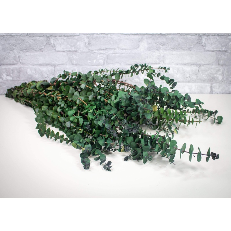 Greenery Sample Kit Option Set