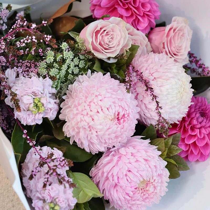 Pretty Betty-Pretty Betty Bouquet & Pretty Betty In Vase-Pink & White & Blue