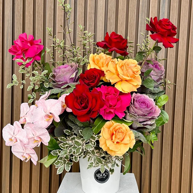 Rose Explosion-Rose Explosion