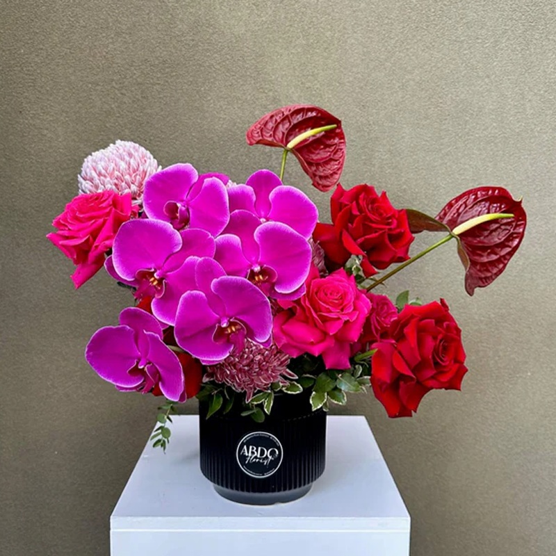 Scarlet Harmony-Scarlet Harmony Arrangement