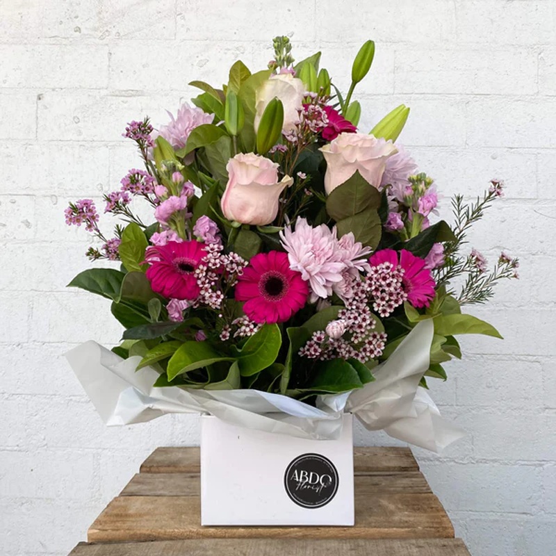 The Shy Gerbera-The Shy Gerbera