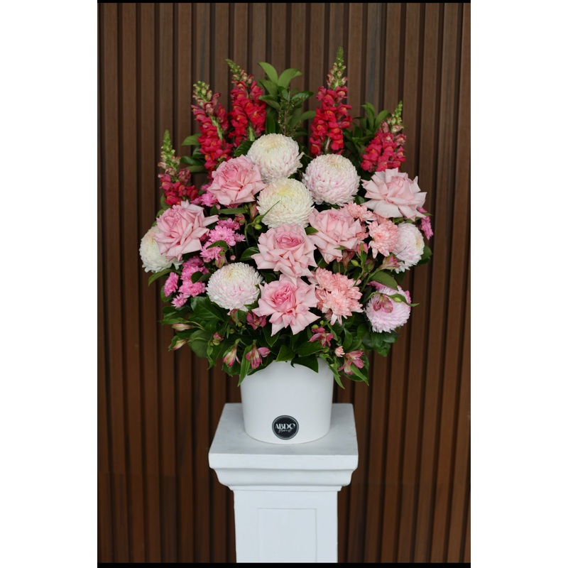 Think Pink-Think Pink