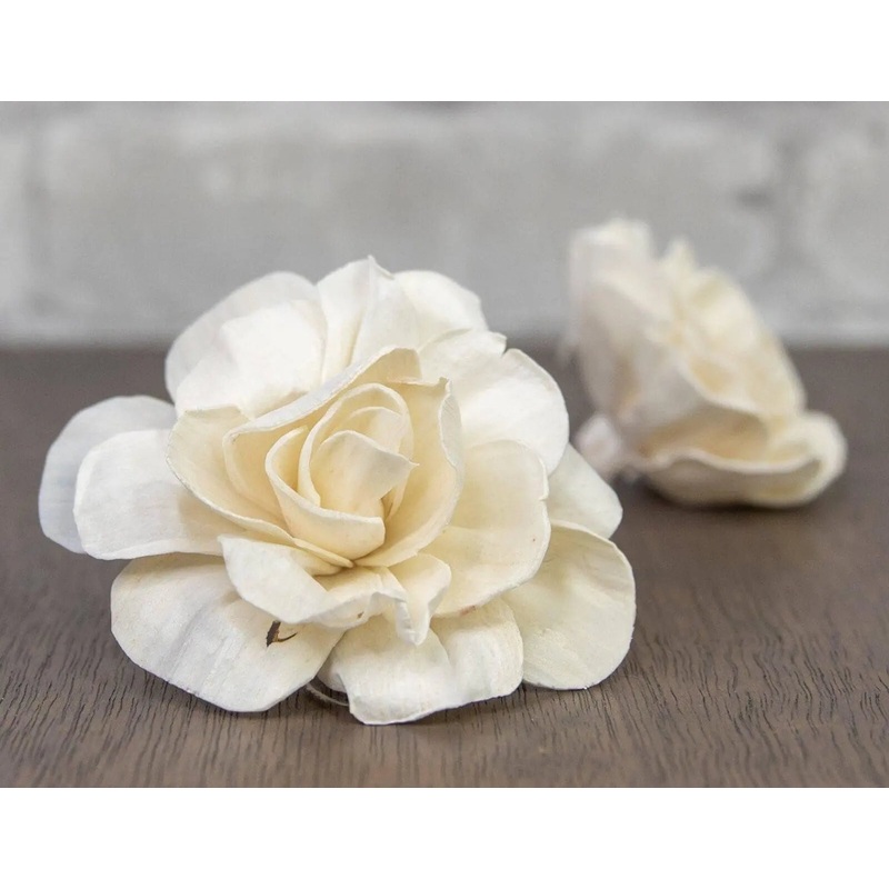 2 Belmont Gardenia (10 Pack)-RAW & CUSTOM