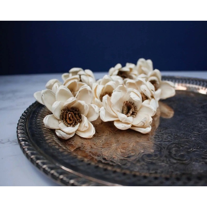 2 Harriet (10 Pack)-RAW & CUSTOM