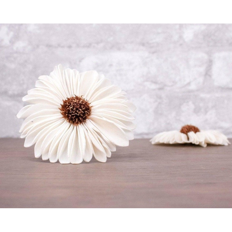 4 Gerbera Daisy (10 Pack)-RAW & CUSTOM