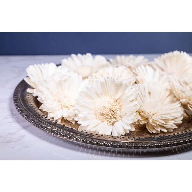 4 Oxeye Daisy (10 Pack)-RAW & CUSTOM