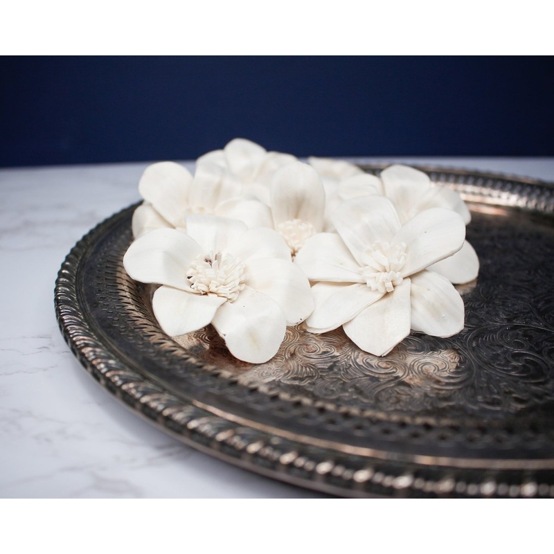 4 Stargazer Lily (10 pack)-RAW & CUSTOM