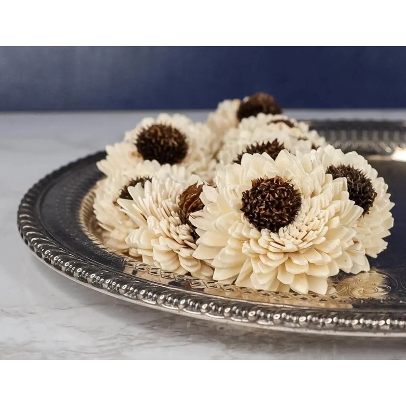 4 Sun Zinnia (10 Pack)-RAW & CUSTOM