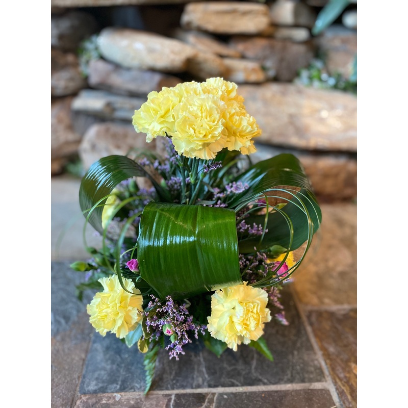 Clover of Carnations