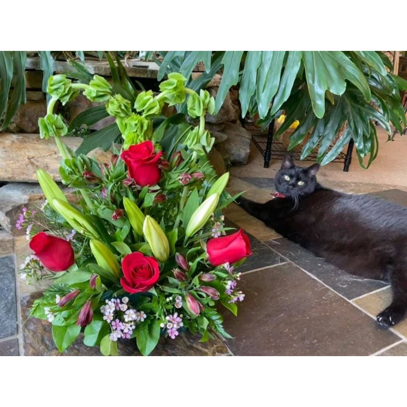 My Heart Belongs To You-Standard (Pictured) & Deluxe & Premium