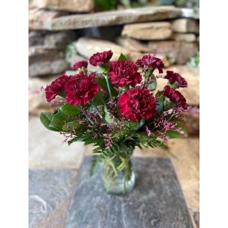 A Carnation Celebration-Standard & Deluxe & Premium