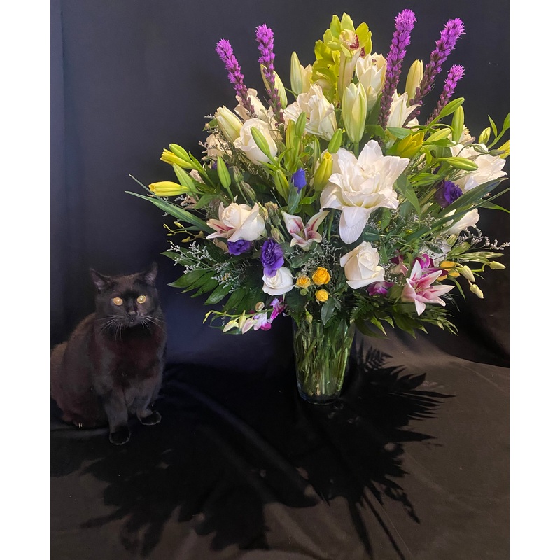 A Real Show Stopper!-Standard & Deluxe & Premium