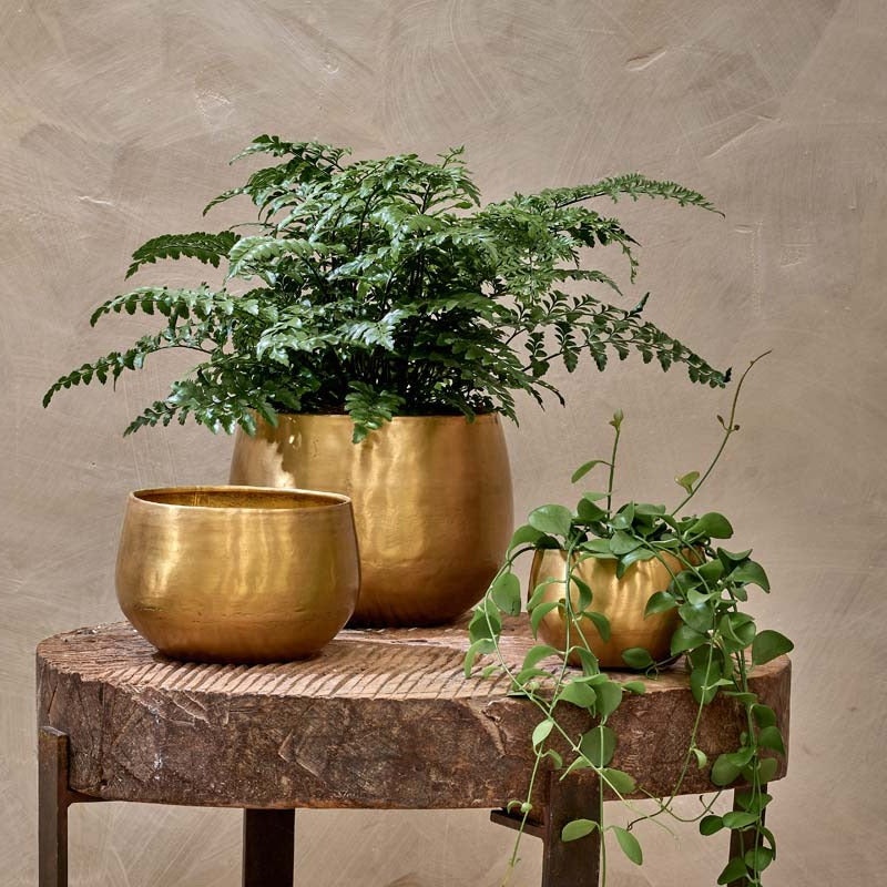 Atsu Brass Plant Pot-Small & Medium