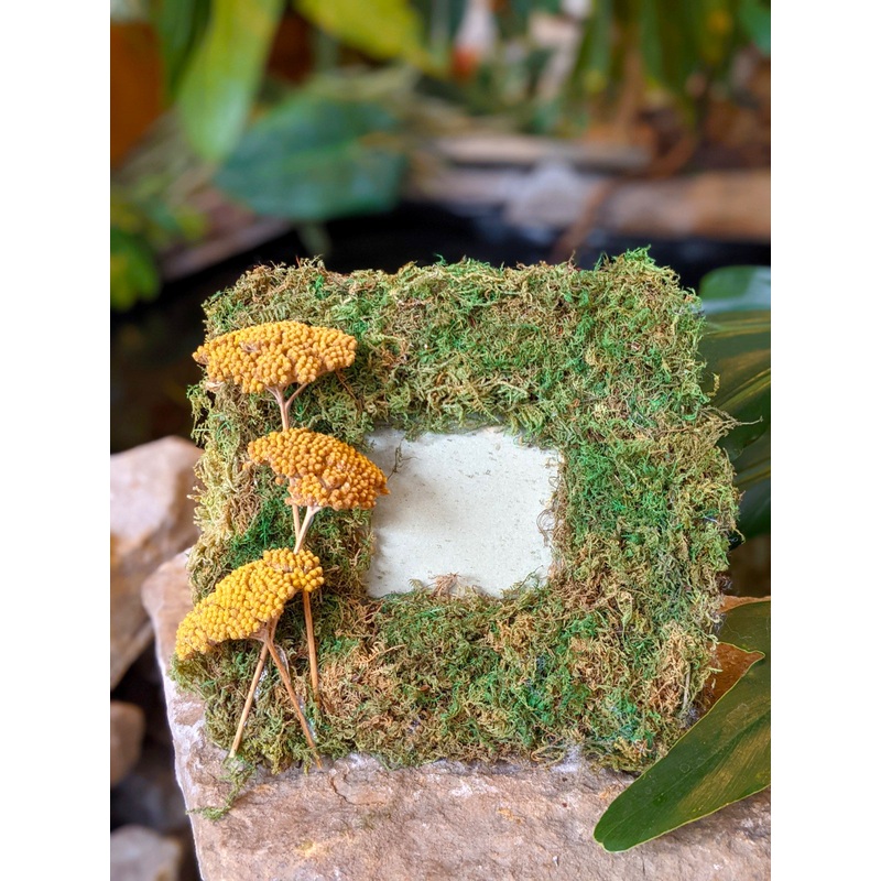 Moss Fairy Picture Frame with Dried Gold Flowers
