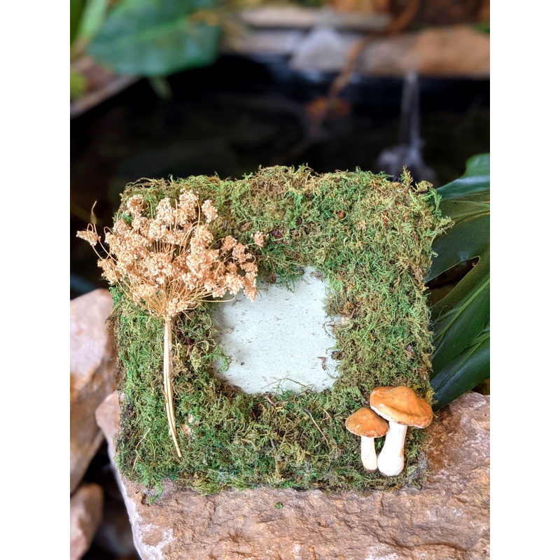 Moss Fairy Picture Frame with Toadstools and Dried Flowers