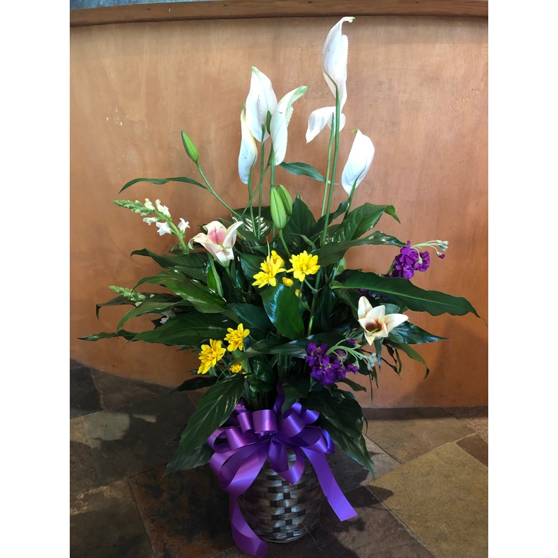 Peace Lily with Basket and Flowers