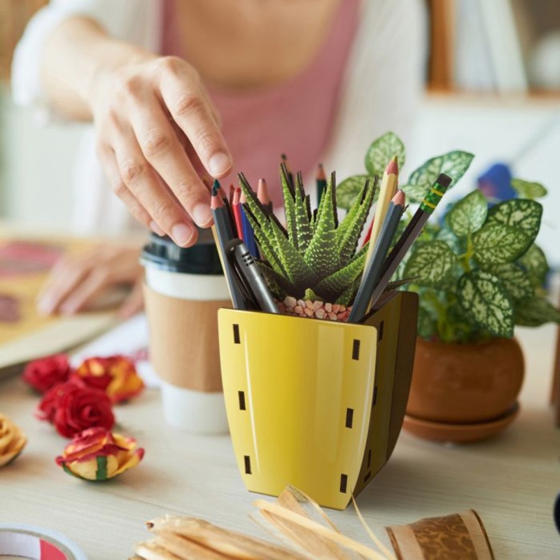 Pop Plant Succulent Pencil Holder