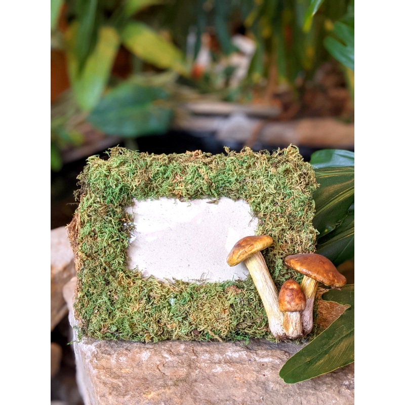 Rectangular Moss Fairy Picture Frame with Toadstools