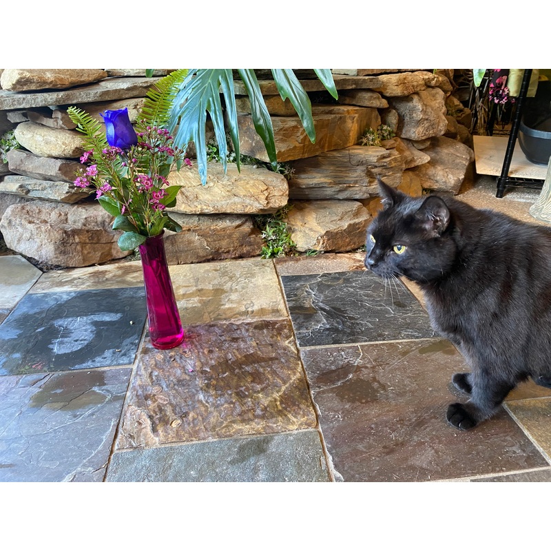 Rose Bud Vase-Standard (Pictured-One Rose) & Deluxe (Two Roses) & Premium (Three Roses)