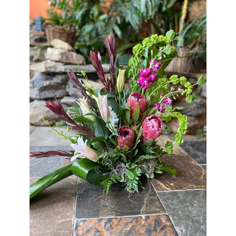 Tales from the Safari