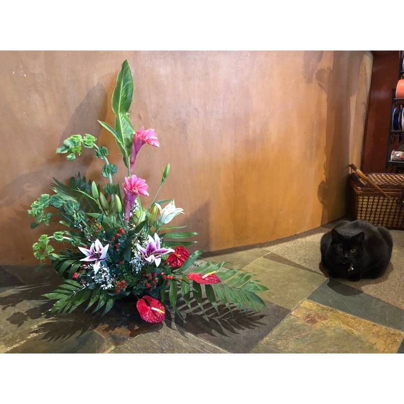 Thunder Island-Standard (Pictured) & Deluxe & Premium