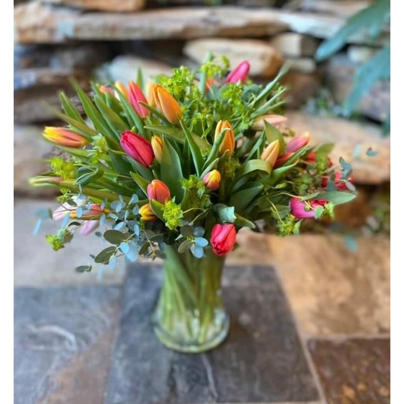 Tip Toe Through Kai’s Tulips-Standard & Deluxe & Premium