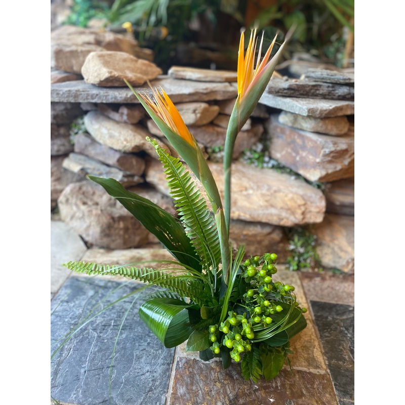 Two Tickets to Paradise-Standard (Pictured) & Deluxe & Premium