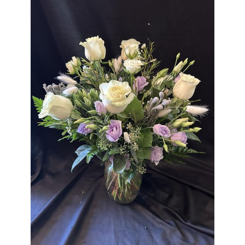 Beatrix-Standard & Deluxe & Premium