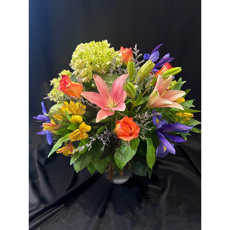 Circus Circus!-Standard & Deluxe & Premium