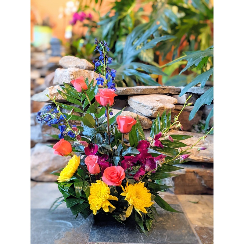 Colorful Courtney-Standard (Pictured) & Deluxe & Premium