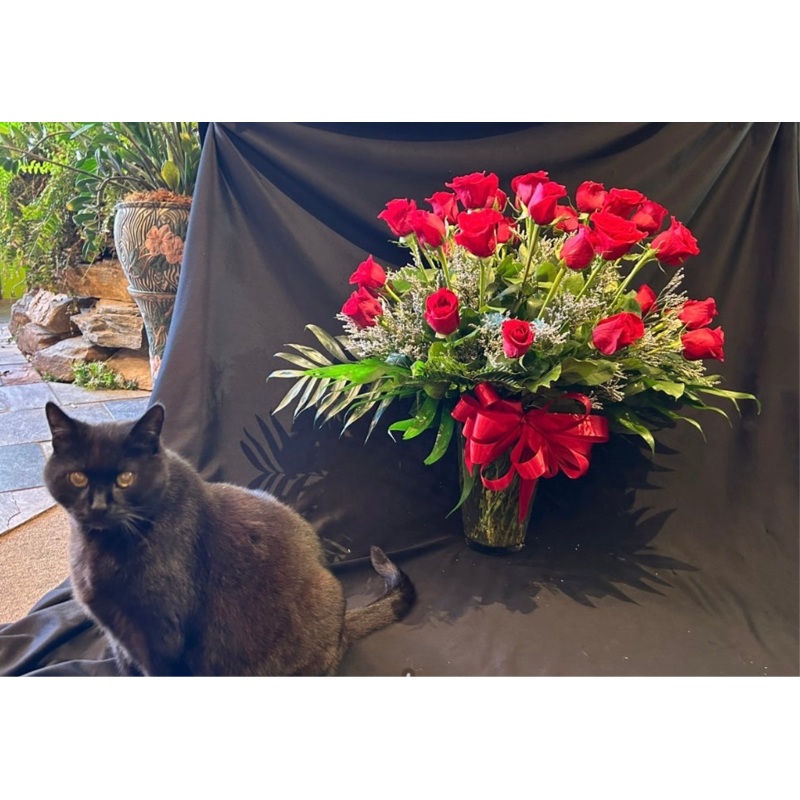 Contemporary Red Roses-Three Dozen