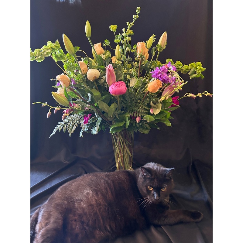 Looks Like Spring-Standard & Premium & Deluxe