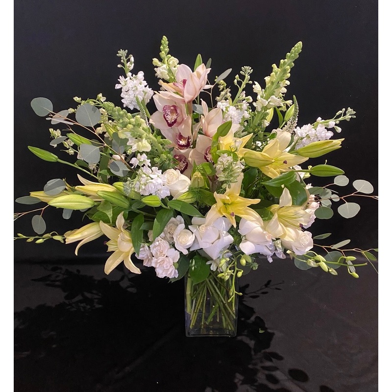 Love Cats-Standard & Deluxe & Premium