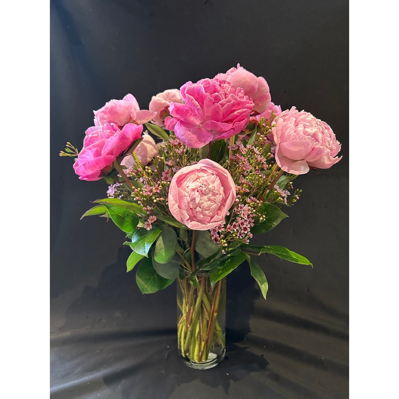 Pretty as a Peony-Standard (Pictured) & Deluxe & Premium