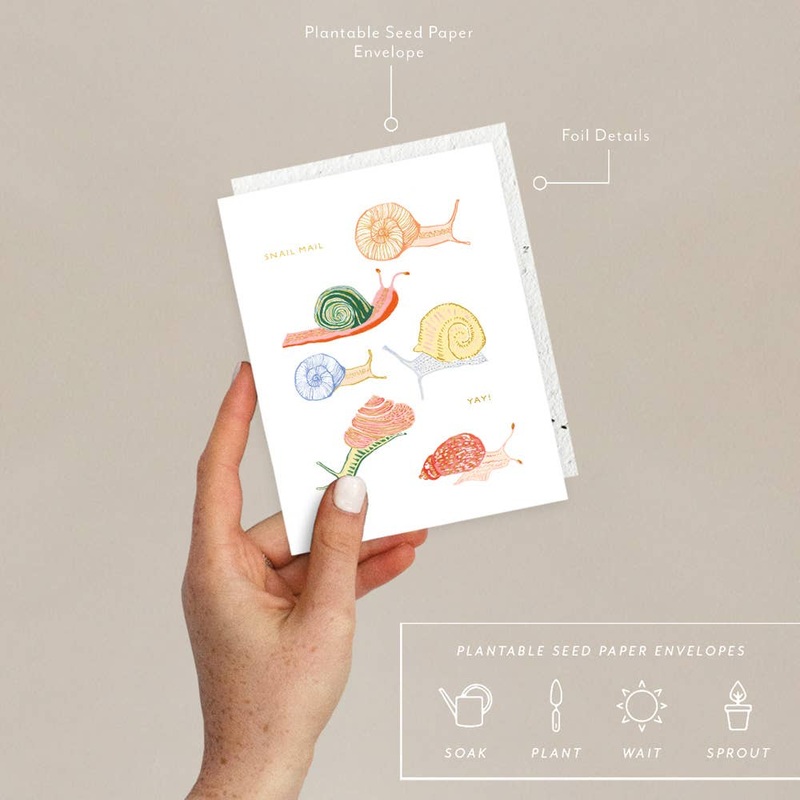 Snails – Just To Say Hi Card