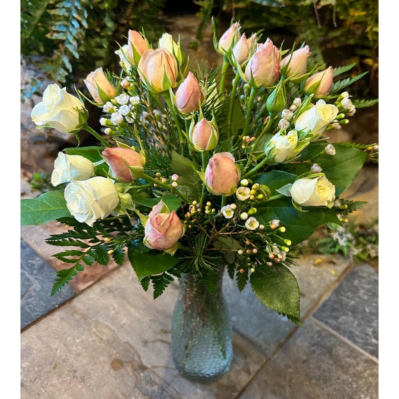 Tea With Bootsy-Standard & Deluxe & Premium