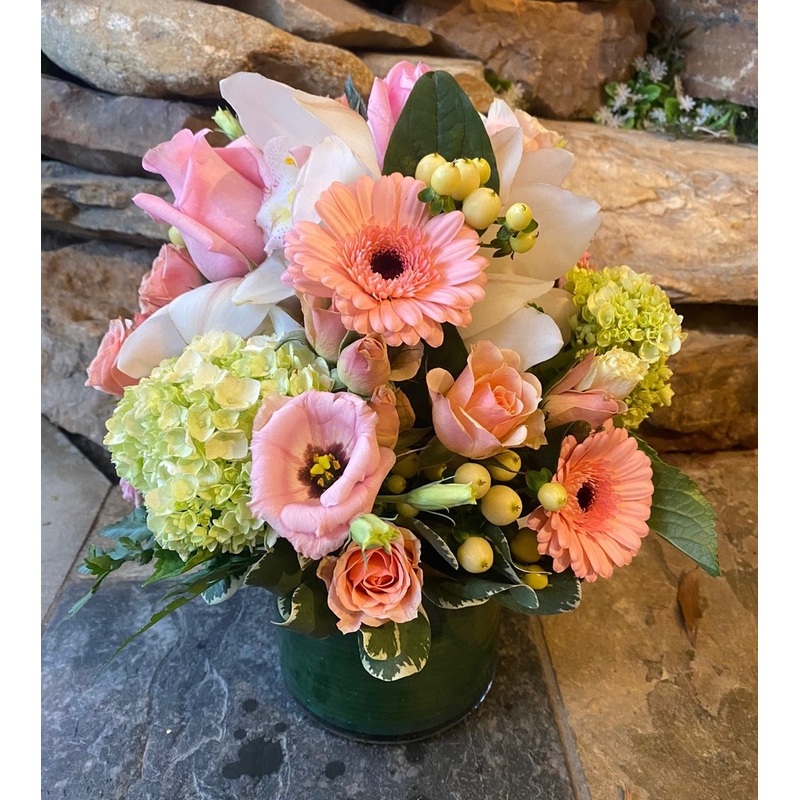 Tenra-Standard & Deluxe & Premium