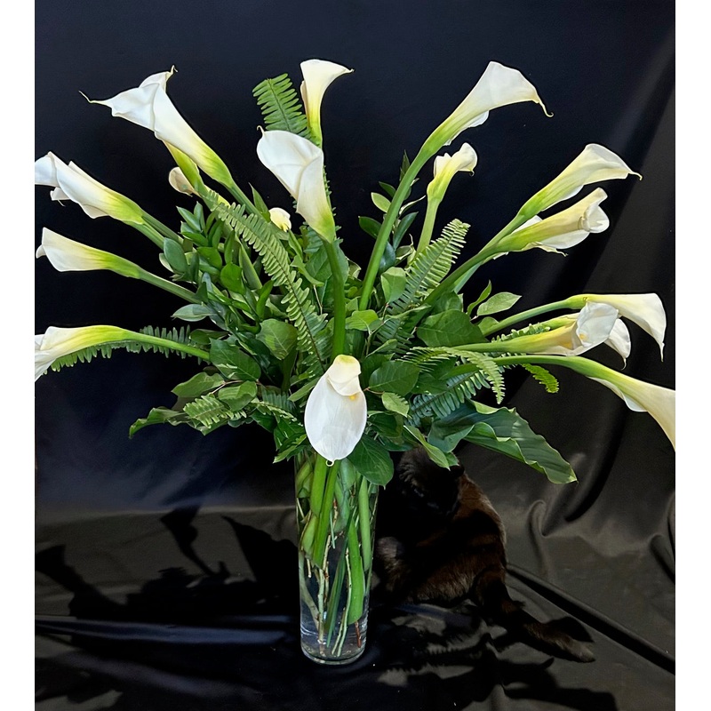 The Bold and the Beautiful-Standrd & Deluxe & Premium