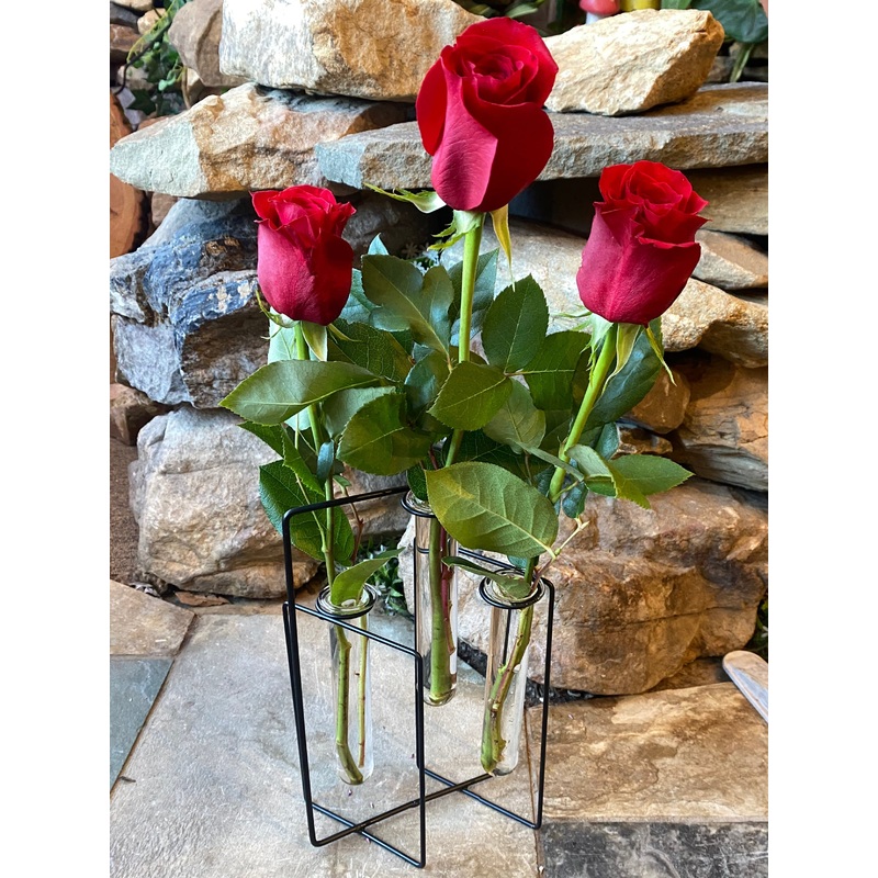 Three’s Company-With Flowers & Without Flowers