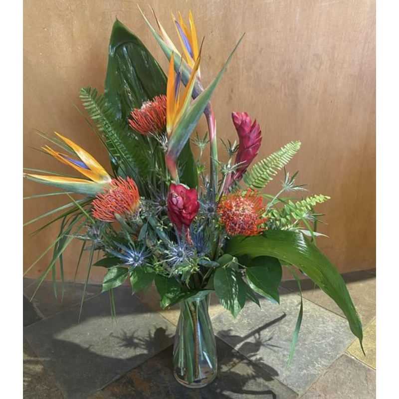 Tropic Thunder-Standard & Deluxe & Premium