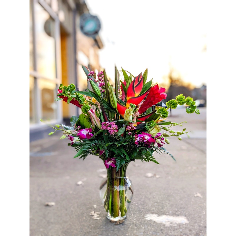 Welcome to the Jungle-Standard & Deluxe & Premium