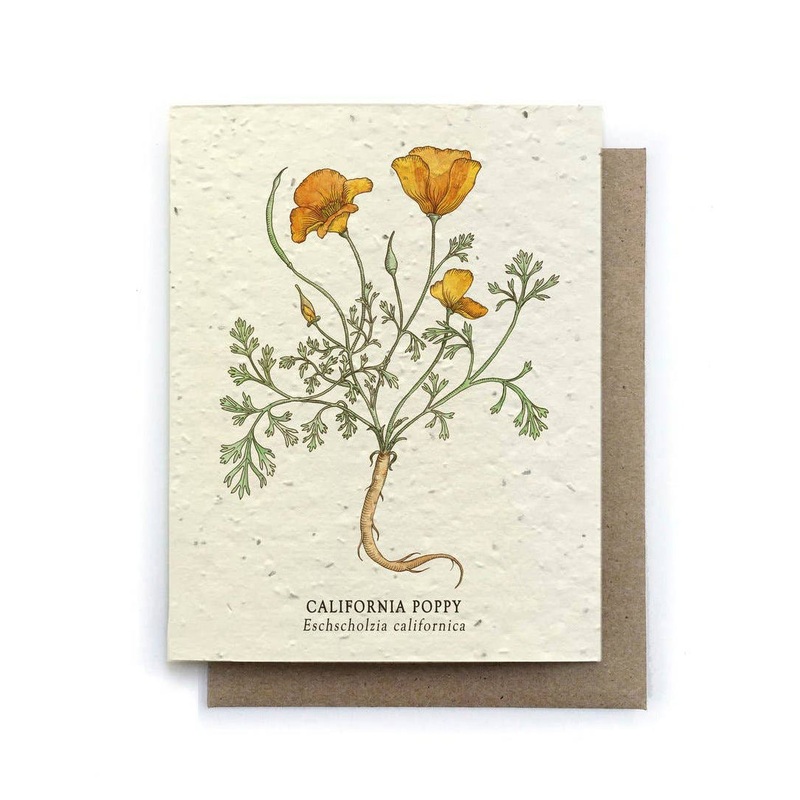 California Poppy Card | Small Victories
