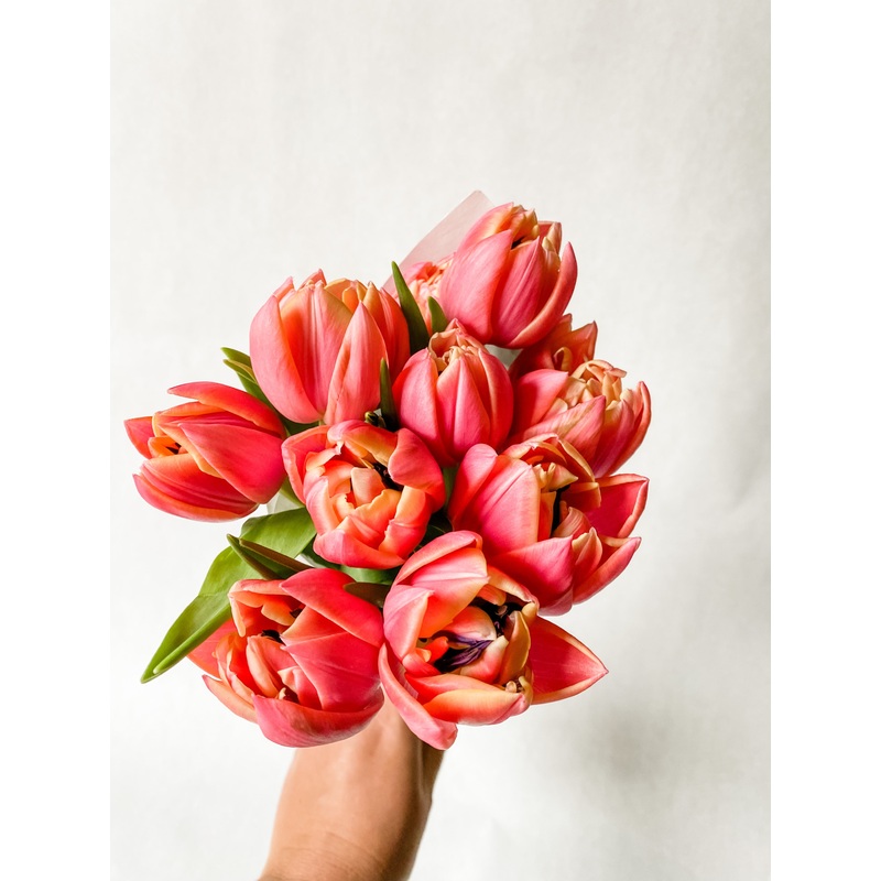 Double Tulip Bunch – Columbus