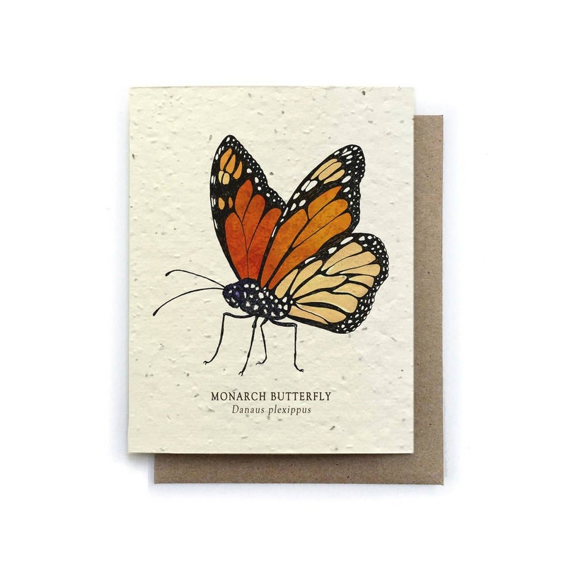 Monarch Butterfly Card | Small Victories