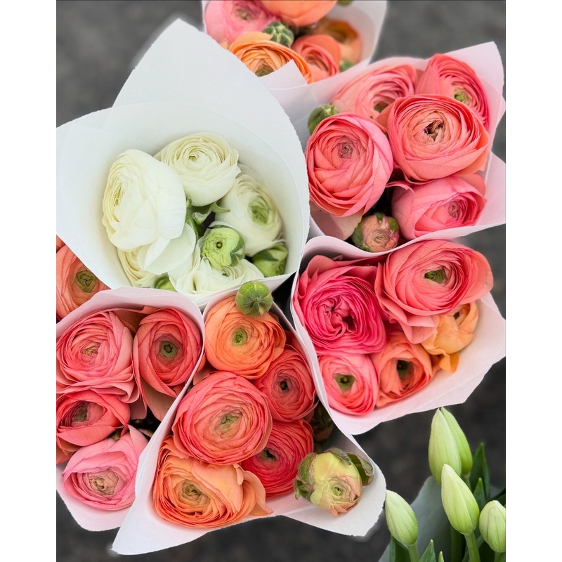 SPECIAL – Local Ranunculus Bunch